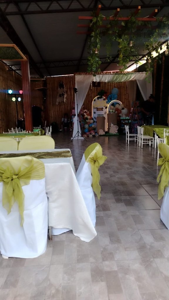 Paquete Fiesta Temática Infantil