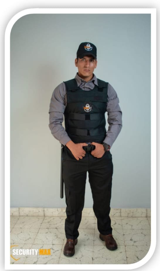 Seguridad y vigilancia