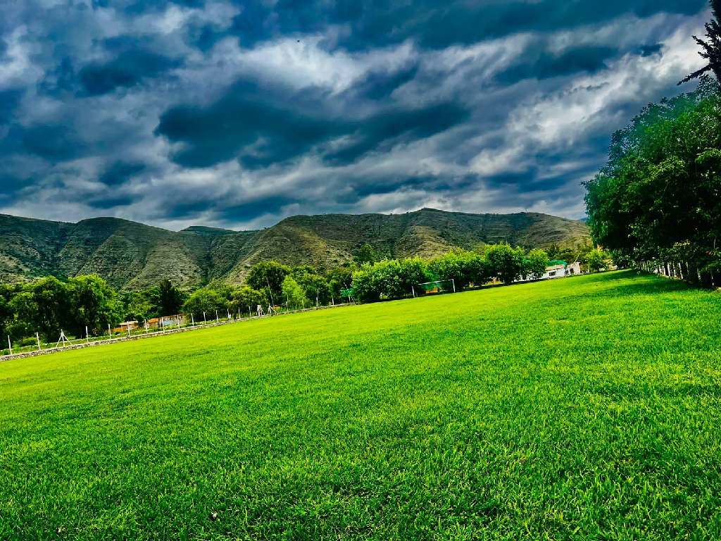 Galería