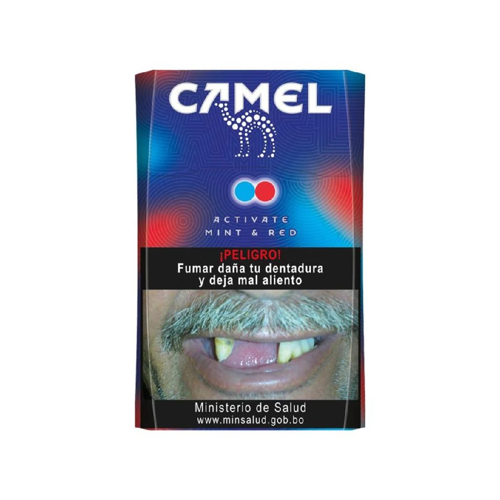 Camel Active Mint & Red