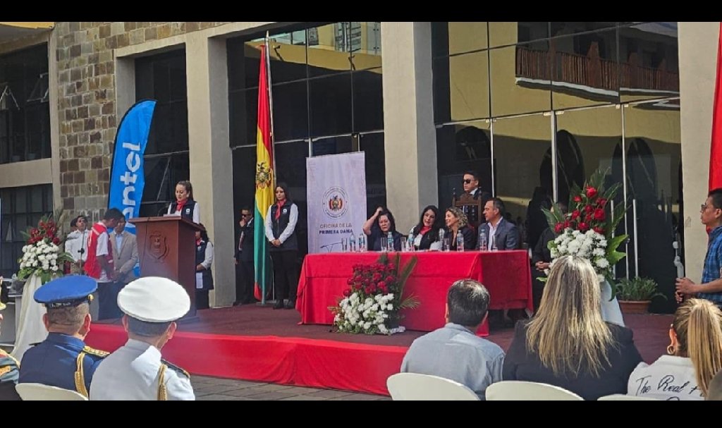 Tarimas bajas y altas