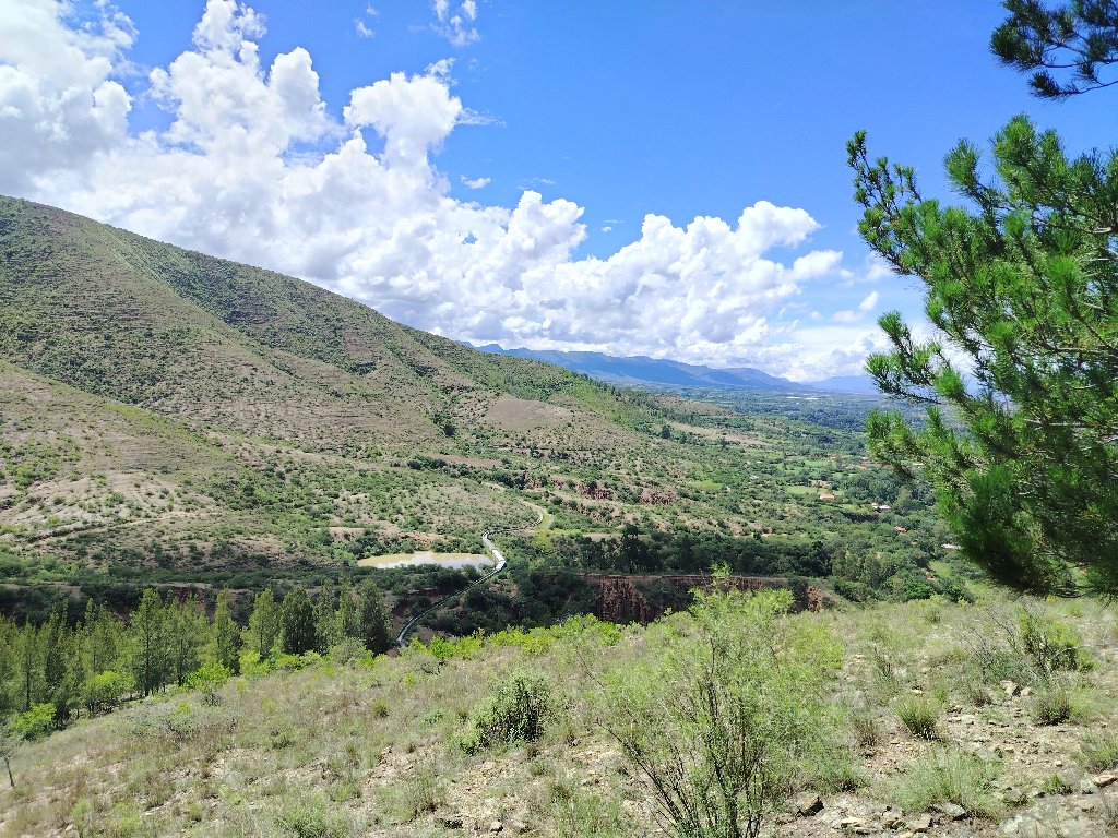Galería